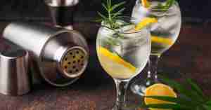A pair of gin glass filled with gin with lime