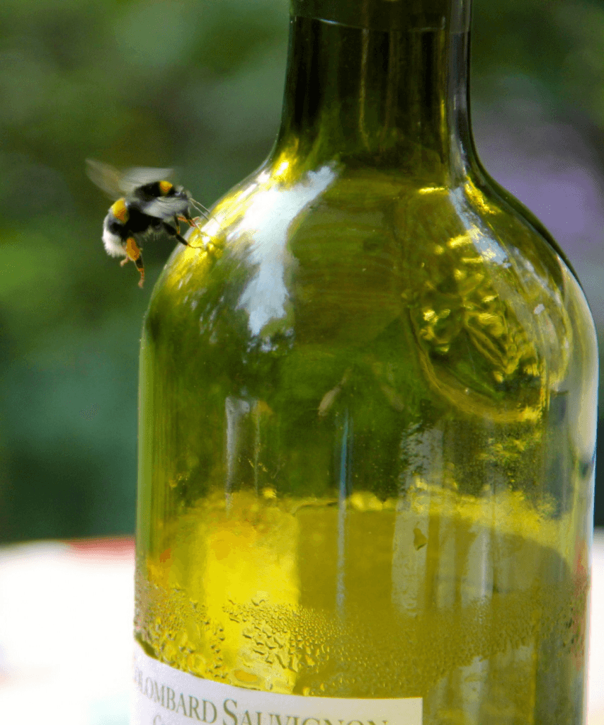 An image of a bottle of mead with a bee sitting on it