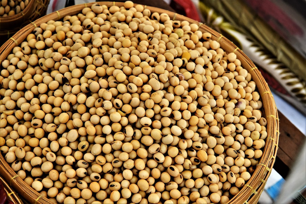A photograph of soy beans